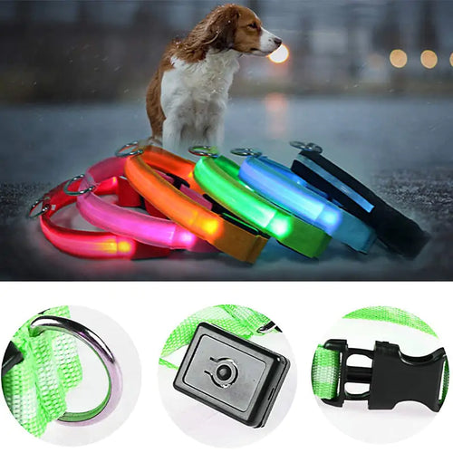 Load image into Gallery viewer, LED Dog Collar
