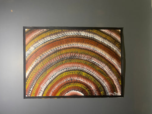 Load image into Gallery viewer, Aboriginal Art piece - Desert Rainbow Dreaming - Artist Gerald McGregor
