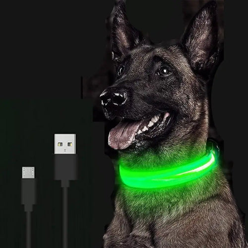 Load image into Gallery viewer, LED Dog Collar
