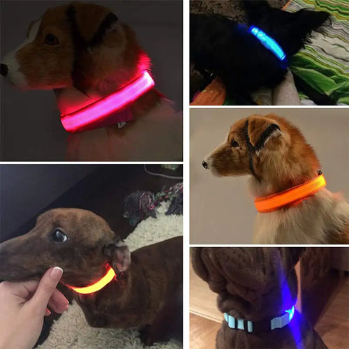 Load image into Gallery viewer, LED Dog Collar
