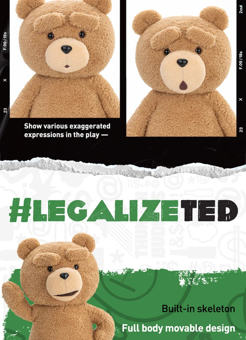 Load image into Gallery viewer, POP MART TED 2 TED Action Doll  Limited Edition Limited to 2pcs per order

