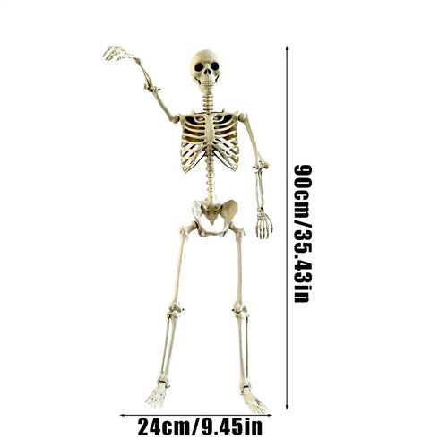 Load image into Gallery viewer, Halloween Realistic Body Bones Life Size Human Skeleton with Posable Joints Simulation Skull Ornament Haunted House Horror Props
