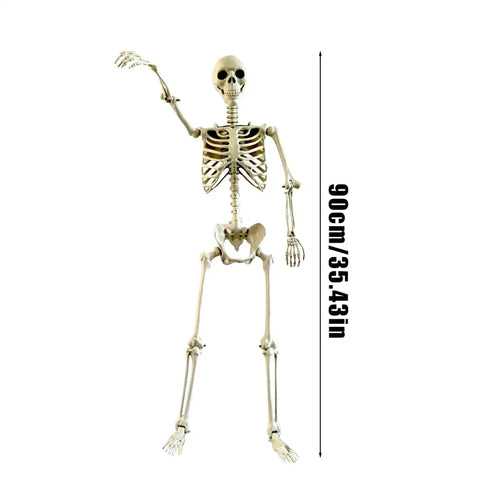 Load image into Gallery viewer, Halloween Realistic Body Bones Life Size Human Skeleton with Posable Joints Simulation Skull Ornament Haunted House Horror Props
