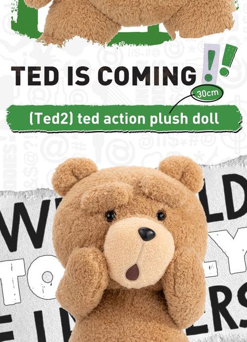 Load image into Gallery viewer, POP MART TED 2 TED Action Doll  Limited Edition Limited to 2pcs per order
