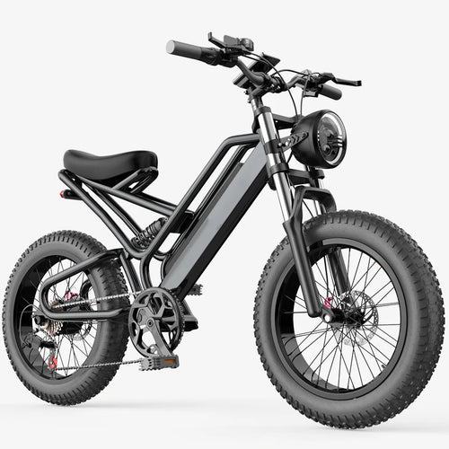 Load image into Gallery viewer, FEIVOS Q1 Off-road bike Aluminium alloy 20&quot;Snow tire E bike 48V Dual shock absorber
