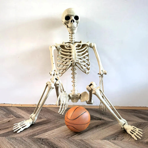 Load image into Gallery viewer, Halloween Realistic Body Bones Life Size Human Skeleton with Posable Joints Simulation Skull Ornament Haunted House Horror Props
