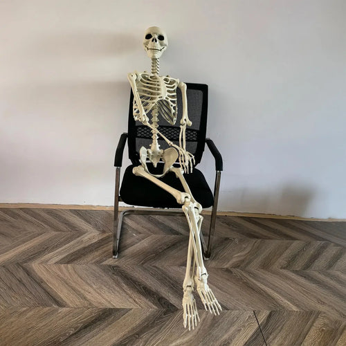 Load image into Gallery viewer, Halloween Realistic Body Bones Life Size Human Skeleton with Posable Joints Simulation Skull Ornament Haunted House Horror Props
