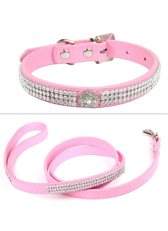 Pet Collar and leash, suede leather, Bling, colourful