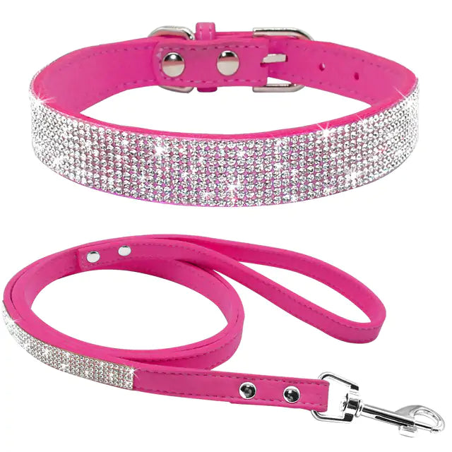 Pet Collar and leash, suede leather, Bling, colourful