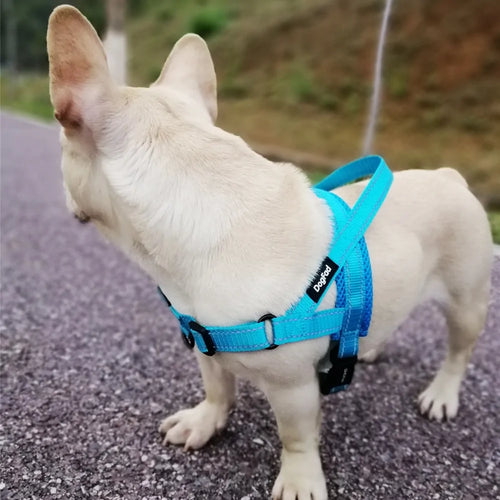 Load image into Gallery viewer, Adjustable Dog Harness
