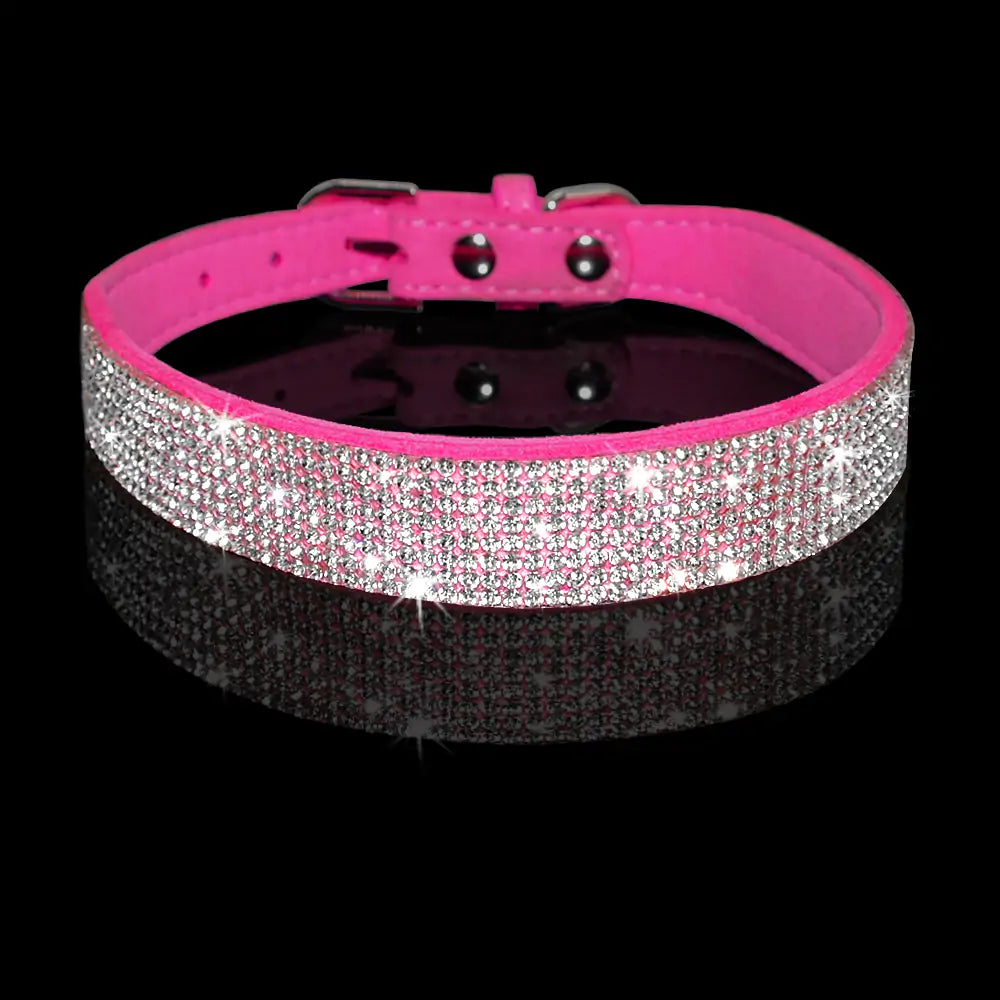 Pet Collar and leash, suede leather, Bling, colourful